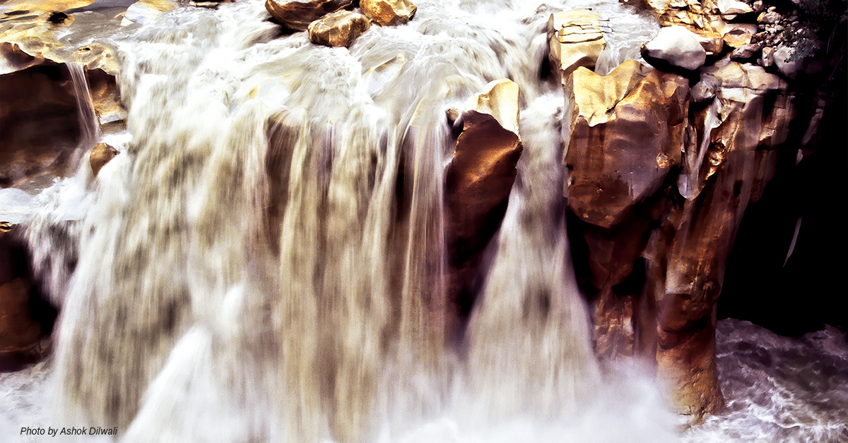 2022 Annual Gratitude Report